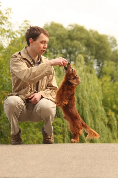 Anak muda bermain dengan dachshund luarnya yang menggemaskan — Stok Foto