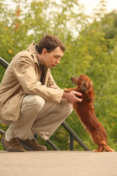 Jovem e seu adorável dachshund ao ar livre — Fotografia de Stock