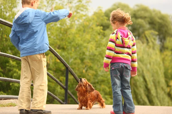 Niños con dachshund al aire libre — Foto de Stock