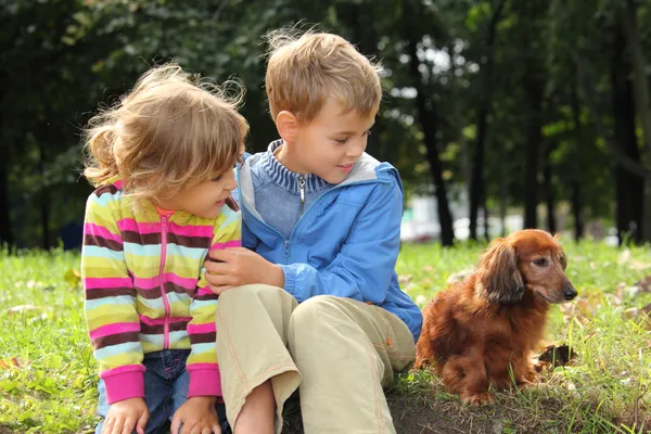 Παιδιά με είδος γερμανικού κυνηγετικού σκύλου κάθονται στο χόρτο — Φωτογραφία Αρχείου