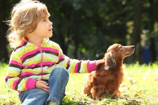 Little girl with dachshund sits on grass — Stock Photo, Image