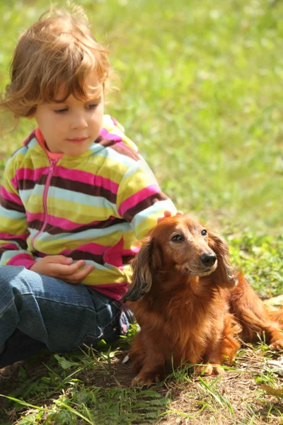 Dachshund ile küçük kız çimlerde oturuyor — Stok fotoğraf
