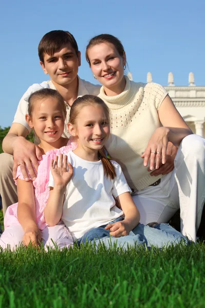 Familie van vier buiten in de zomer zit op gras — Stockfoto