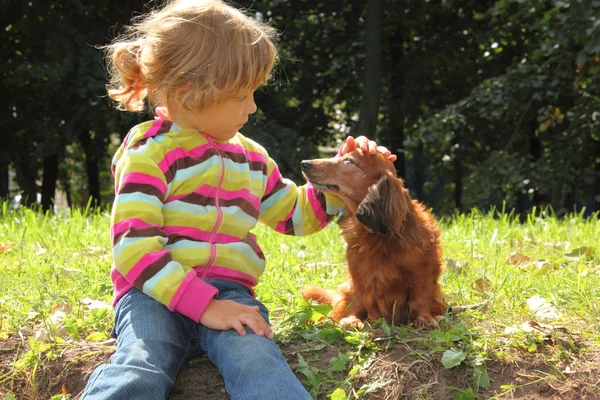 Mała dziewczynka pieszczoty jamnik odkryty — Zdjęcie stockowe