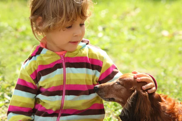 Little girl caress dachshund outdoor — Stock Photo, Image