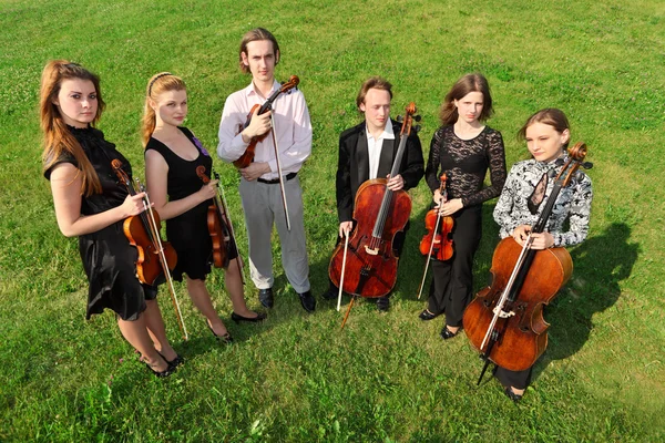 Six violinists stand semicircle on grass — Stock Photo, Image