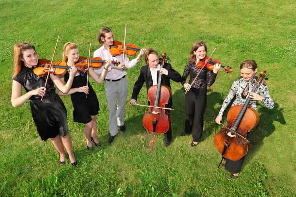 Sześć skrzypków stoją półkole na trawie i grać — Zdjęcie stockowe