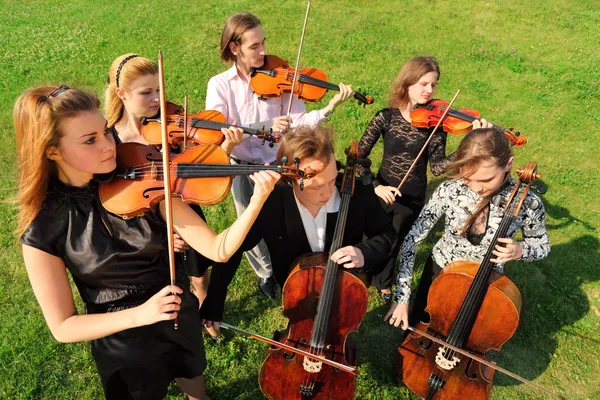 Group of violinists play standing on grass — Stock Photo, Image