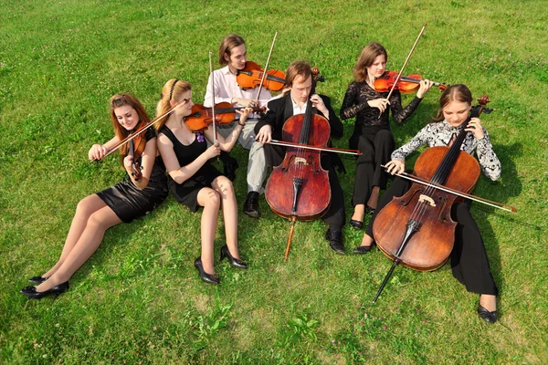Sześć skrzypków siedzieć półkole na trawie i grać — Zdjęcie stockowe