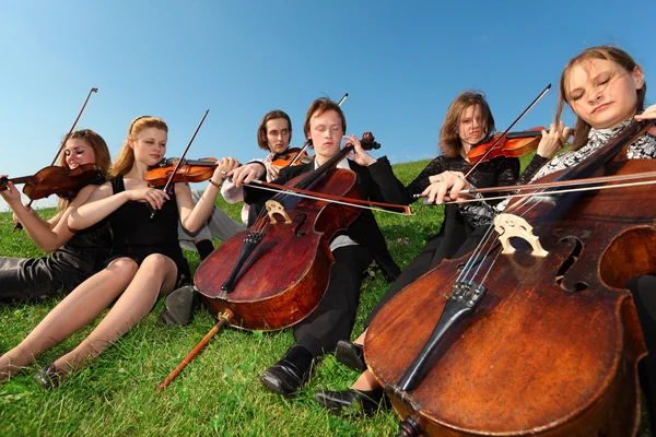 Six violinists sit on grass and play — Stock Photo, Image