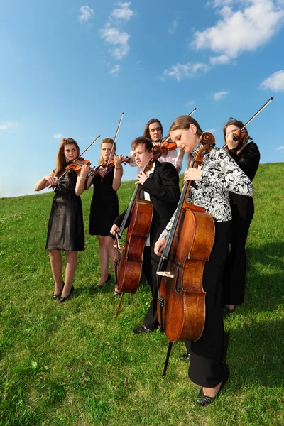Group of violinists play standing on grass — Stock Photo, Image
