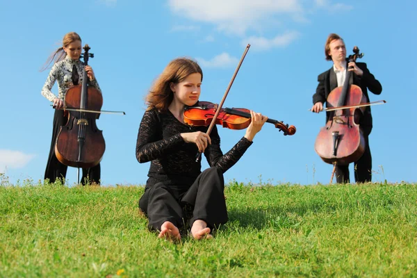 Violinist and two violoncellists play on grass against sky — Stock Photo, Image