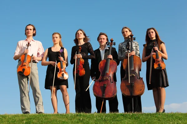 Seis violinistas estão na grama contra o céu — Fotografia de Stock