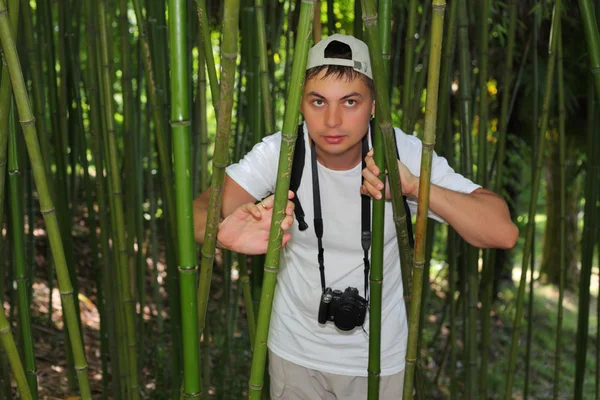 Fotógrafo em bosque de bambu em Sochi arboretum — Fotografia de Stock
