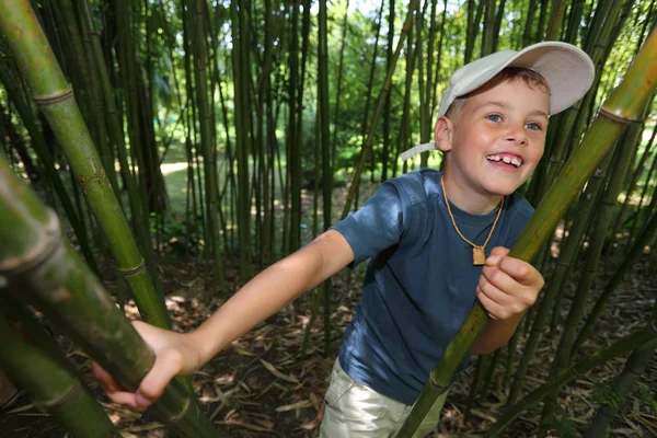 Boy in bamboo grove in Sochi arboretum — Stock Photo, Image