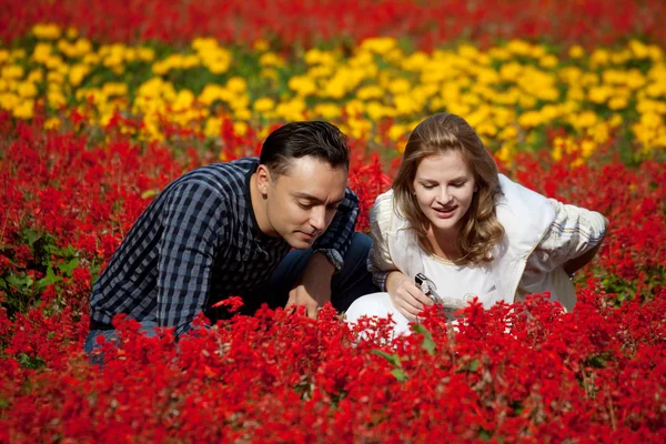 Manželský pár, dívat se na květiny v parku — Stock fotografie