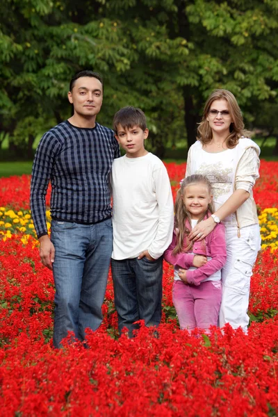 Family of four persons in flowering park — Stock Photo, Image