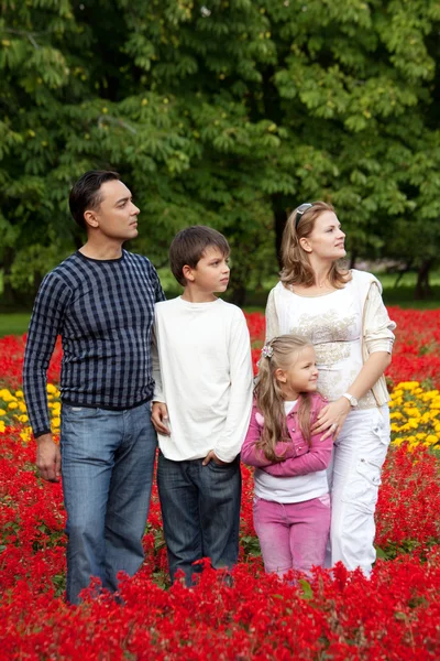 Familia de cuatro personas mirando a un lado en el parque de flores — Foto de Stock