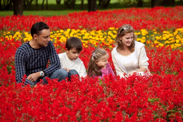 Famille de quatre personnes regardant de côté dans le parc fleuri — Photo