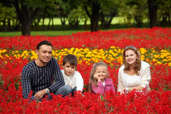 Happy family of four in flowering park — Stock Photo, Image