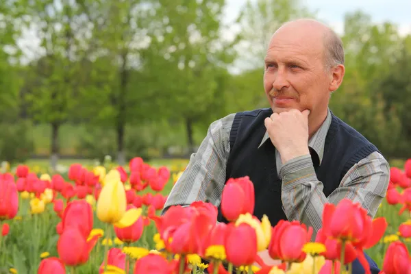 Middle-aged man among blossoming tulips — Stock Photo, Image