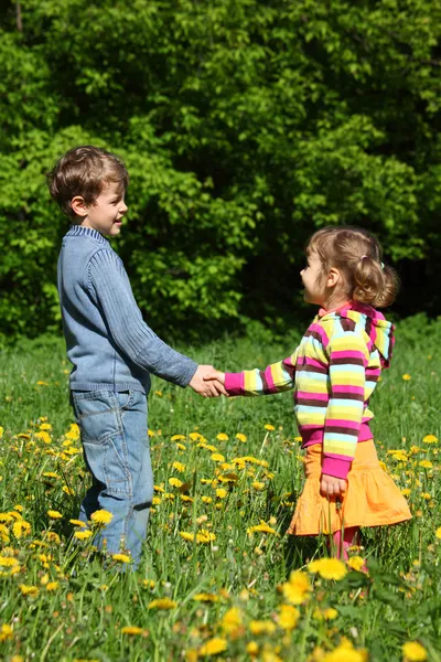 Мальчик и девочка пожимают друг другу руки среди цветущих одуванчиков — стоковое фото