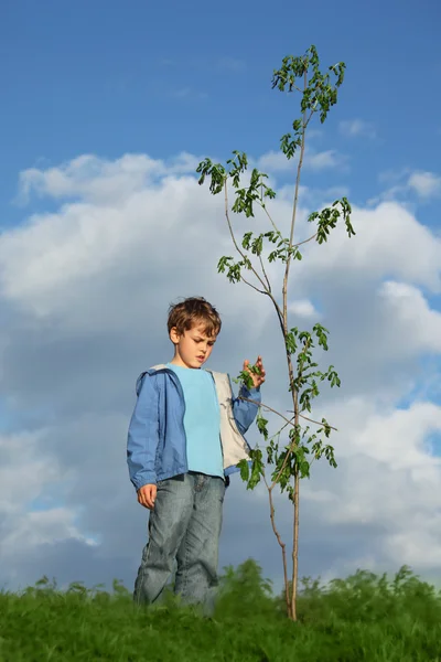 Chico planta el árbol — Foto de Stock