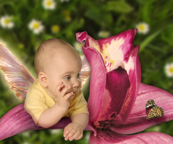 Ребенок на орхидее с коллажем бабочки — стоковое фото