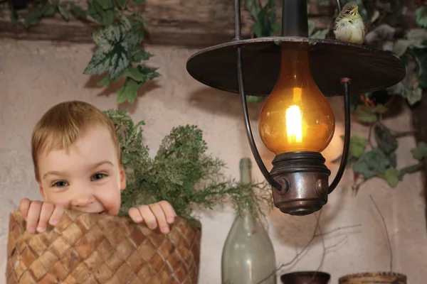 Busket、灯油ランプ コラージュ燃焼に赤ちゃんの鳥の赤ちゃん — ストック写真