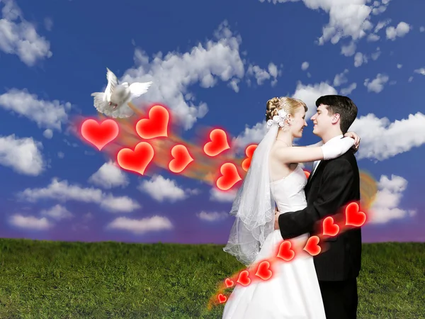 Свадебная пара с голубем на лугу коллаж — стоковое фото