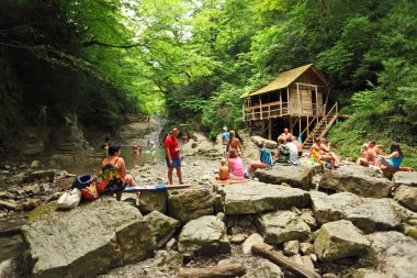 near a waterfall in Sochi clipart