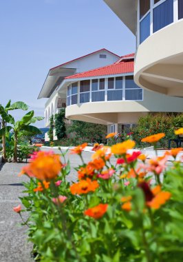 çiçekli yatak resort hotel yakınındaki öğleden sonra