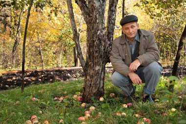 Middleaged man under apple-tree clipart