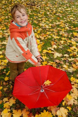 Umbrellas in autumn park clipart