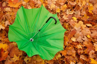 Umbrellas in autumn park clipart