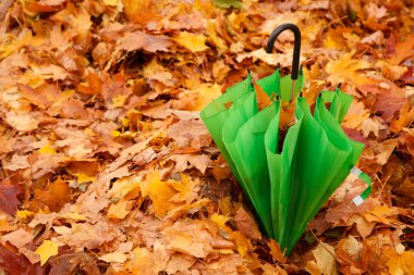 Umbrellas in autumn park clipart