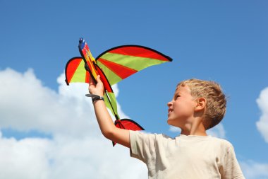 Boy plays kite against sky clipart