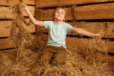 On pile of straw clipart