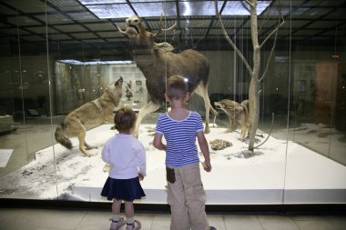 Children in the natural museum clipart