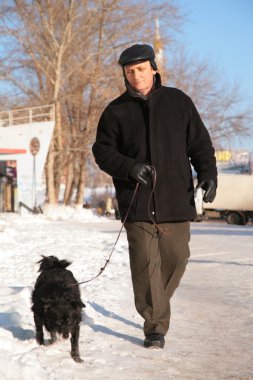 Elderly man with dog on walk in winter clipart