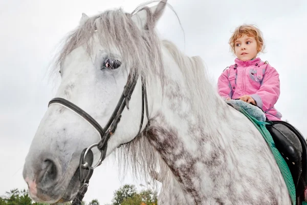 Menina equitação cavalo — Fotografia de Stock