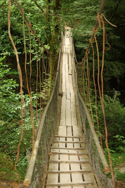 Wooden suspension bridge in wood — Stock Photo, Image