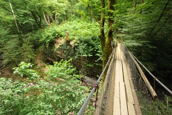 Wooden suspension bridge in wood, wide angle — Stock Photo, Image