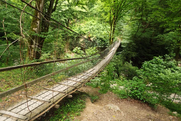Puente colgante de madera en madera — Foto de Stock