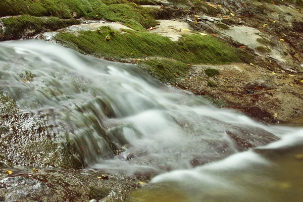 stock image Mountain stream