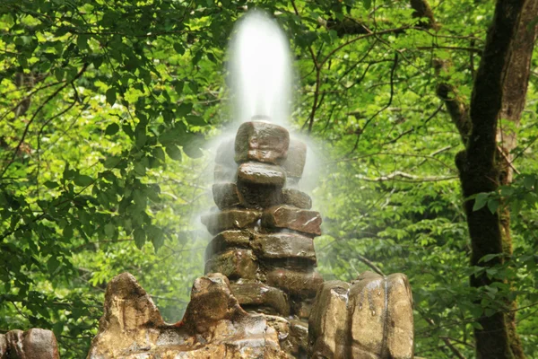 Кам'яний фонтан в дереві — стокове фото