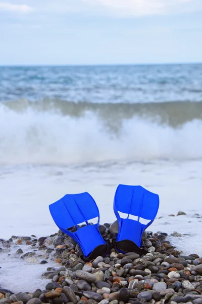 Flippers op steenachtige strand — Stockfoto