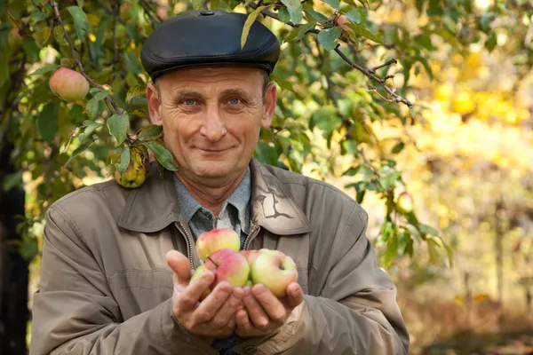 Pensativo hombre de mediana edad con manzanas — Foto de Stock