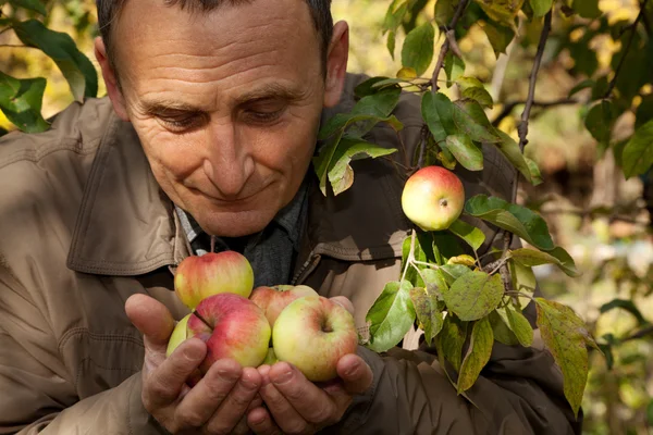 Pensativo homem de meia idade com maçãs — Fotografia de Stock