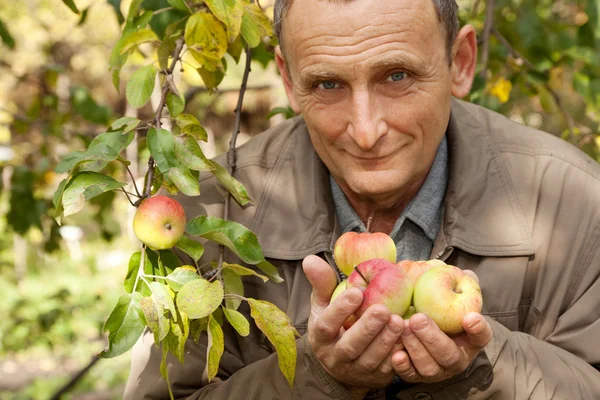 Задумчивый мужчина среднего возраста с яблоками — стоковое фото